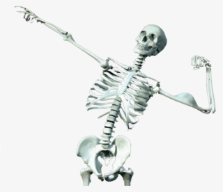 Paranormal » Thread