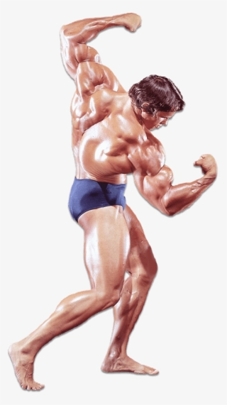 Arnold Schwarzenegger - Historyofbodybuilding - Com