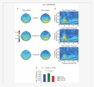 High Lzp Dosage Decreases Alpha Phase To Beta-low Gamma