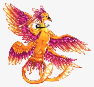 Stats, Moves, Transformation, Locations & Other Forms