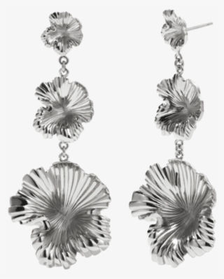 Earrings Png