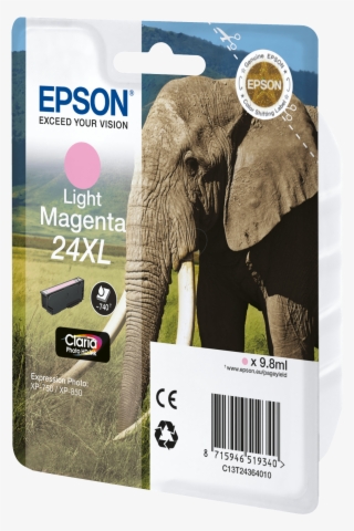Light Magenta Xl