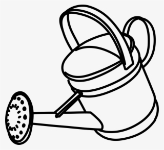 Shower,water,plants,free Vector Graphics,free Pictures,