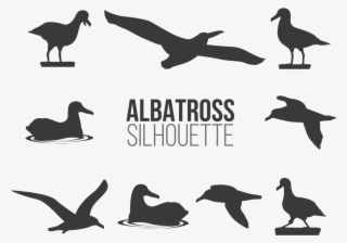 Albatros Sillhaouttes Vector