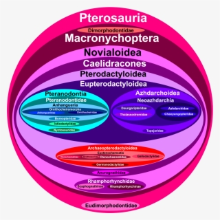Pterosaurs Paleontology Prehistoric Life Archosaurs