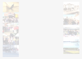 Website Background