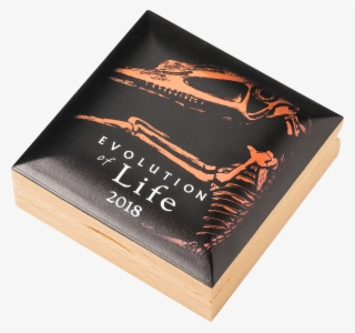 The Elegant Custom Made Box In Which The Coins Are