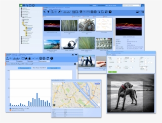 Publish And Integrate Media Assets Into Web Sites