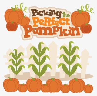 Picking The Perfect Pumpkin Svg Cutting Files For Scrapbooks