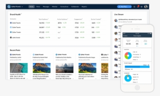 Social Media Management Software For Growing Businesses