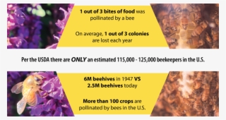 Beecosystem Beekeeper Importance 2