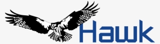 Hawks Png