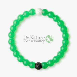 Lokai - Environment Lokai