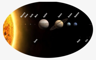 Spiders Are Unique In This Respect And The Solar System