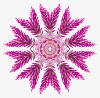 This Free Icons Png Design Of Wildflower Kaleidoscope