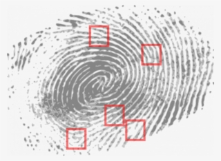 The Identity We Can't Change