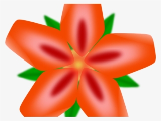 Exotic Clipart Mexican Flower