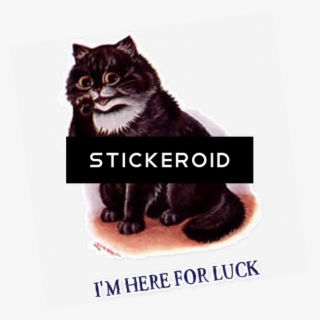 I'm Here For Luck Cat