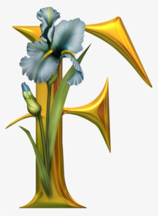 F