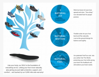 Zappos Png