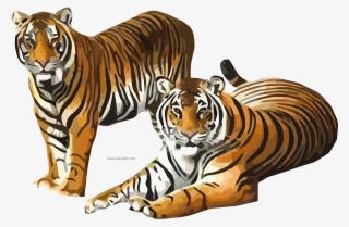 Two Tiger Waiting Clipart Png Image Download