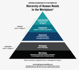 We Help You Integrate These Transformational Models