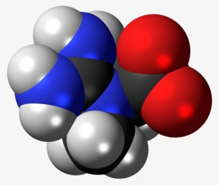 Creatine Zwitterion Spacefill