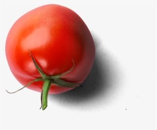 Tomate