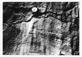 Photograph Showing A