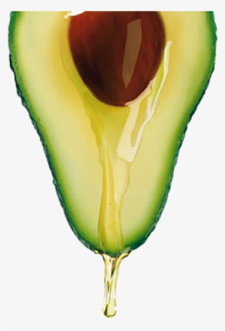 Aguacate Png