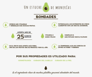 Historia Del Aguacate