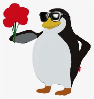 Pinguim Png