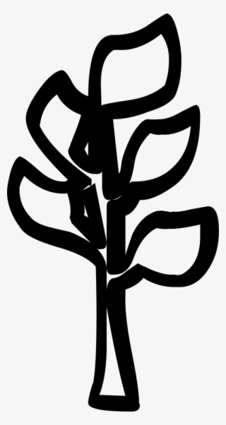 Ancient Egypt Kom Ombo Paint Free Photo