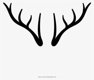 Related Wallpapers