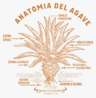 This Iframe Contains The Logic Required To Handle Ajax