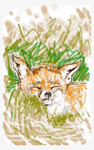 The Sleeping Fox From Scratch