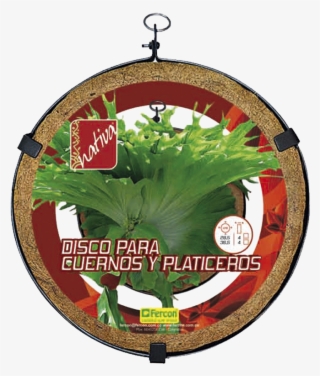 Disco Para Cuernos Y Platiceros 28 Cm
