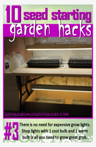You Do Not Need Expensive Grow Lights