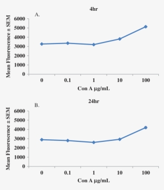 Cona Peripheral Blood Lymphocytes Proliferation Curves