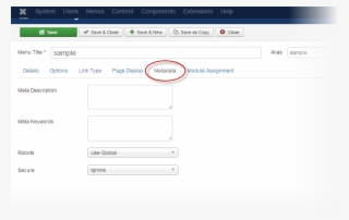 Metadata Tab