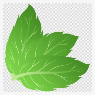 Peppermint Vector Png Clipart Peppermint Apple Mint