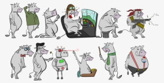 Cows