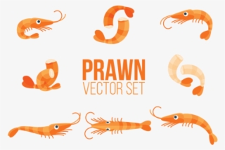 Prawns Icons Vector