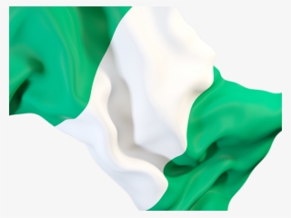 Nigerian Flag Png