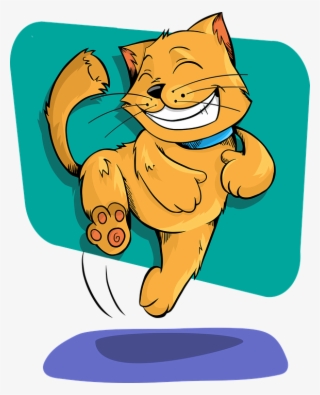 Cat, Animal, Funny, Cute, Adorable, Happy, Excited