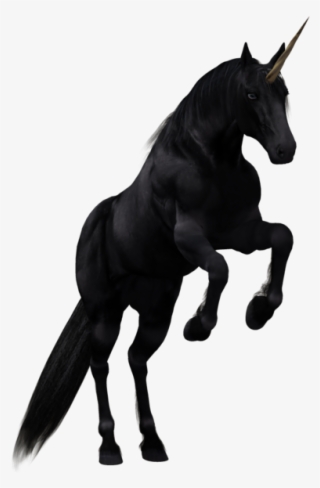 Black Unicorn Tumblr Unicorn Background Tumblr Tumblr