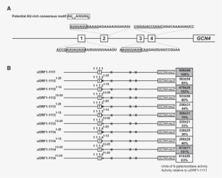 The Presence Of The Specific Au Rich Motif Determines
