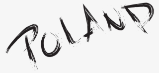 I Used Illustrator's Brush Tool To Create Some Marks