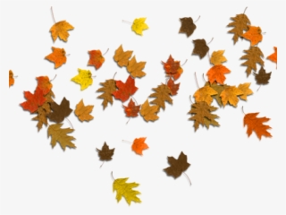 Autumn Leaves Clipart Corner Border