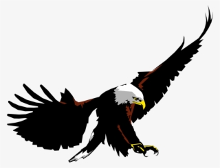 Vector Illustration Of American Bald Eagle National